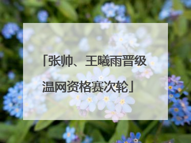张帅、王曦雨晋级温网资格赛次轮