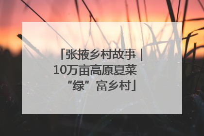张掖乡村故事｜10万亩高原夏菜“绿”富乡村