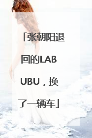 张朝阳退回的LABUBU，换了一辆车