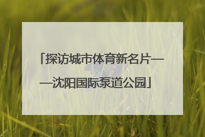 探访城市体育新名片——沈阳国际泵道公园