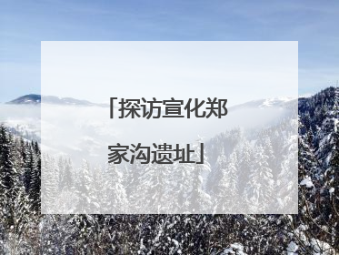 探访宣化郑家沟遗址
