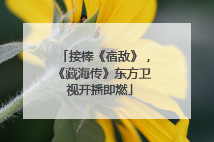 接棒《宿敌》，《藏海传》东方卫视开播即燃