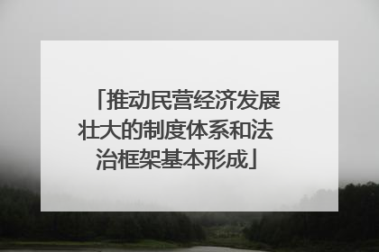 推动民营经济发展壮大的制度体系和法治框架基本形成
