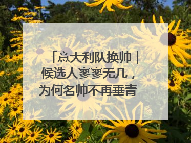 意大利队换帅｜候选人寥寥无几，为何名帅不再垂青“蓝衣军团”？