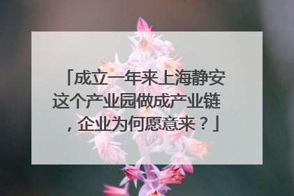 成立一年来上海静安这个产业园做成产业链，企业为何愿意来？