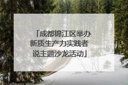 成都锦江区举办新质生产力实践者说主题沙龙活动
