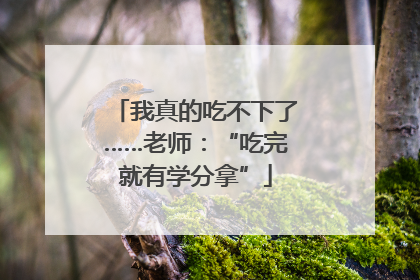 我真的吃不下了……老师：“吃完就有学分拿”