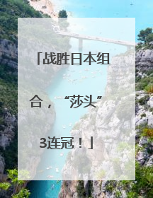 战胜日本组合，“莎头”3连冠！