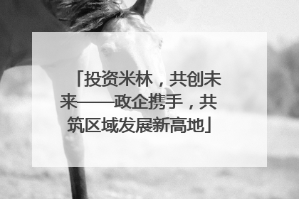 投资米林，共创未来——政企携手，共筑区域发展新高地