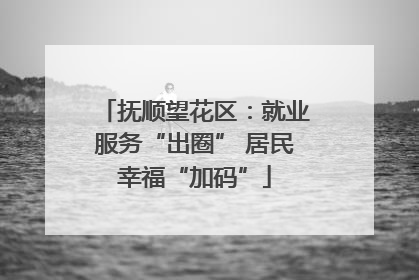 抚顺望花区：就业服务“出圈” 居民幸福“加码”