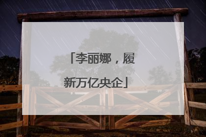 李丽娜，履新万亿央企