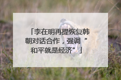 李在明再提恢复韩朝对话合作，强调“和平就是经济”