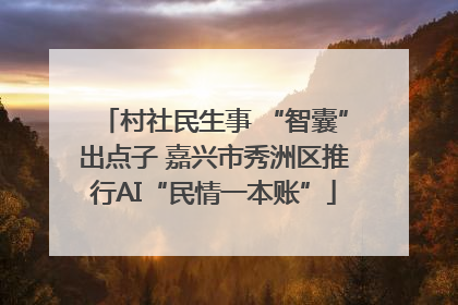 村社民生事 “智囊”出点子 嘉兴市秀洲区推行AI“民情一本账”