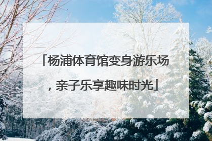 杨浦体育馆变身游乐场，亲子乐享趣味时光