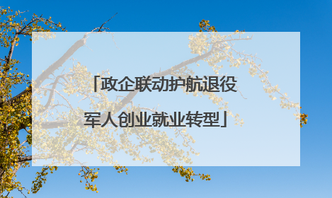 政企联动护航退役军人创业就业转型