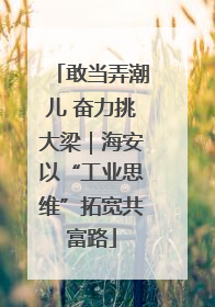 敢当弄潮儿 奋力挑大梁｜海安以“工业思维”拓宽共富路
