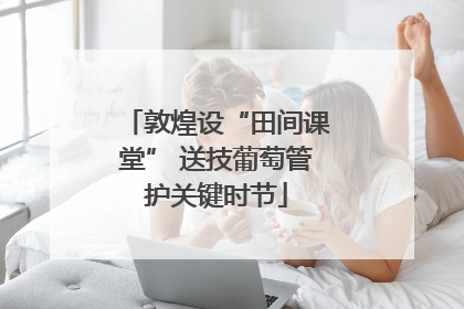 敦煌设“田间课堂” 送技葡萄管护关键时节
