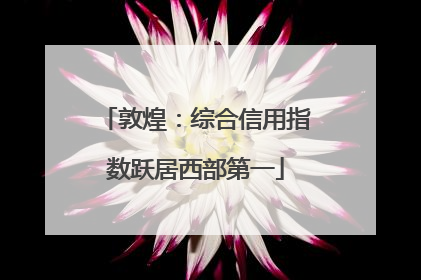 敦煌：综合信用指数跃居西部第一