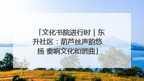 文化书院进行时｜东升社区：葫芦丝声韵悠扬 奏响文化和谐曲