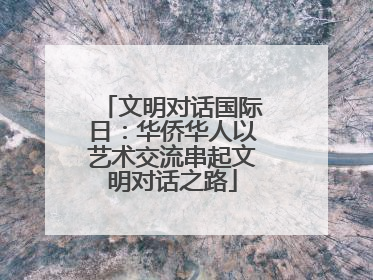 文明对话国际日：华侨华人以艺术交流串起文明对话之路