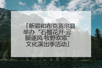 新疆和布克赛尔县举办“石榴花开·云骥逐风·牧野欢歌”文化演出季活动