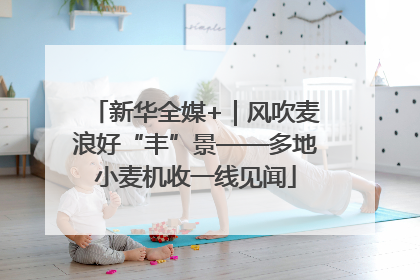 新华全媒+｜风吹麦浪好“丰”景——多地小麦机收一线见闻