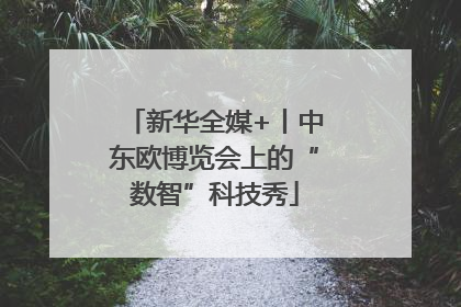 新华全媒+丨中东欧博览会上的“数智”科技秀