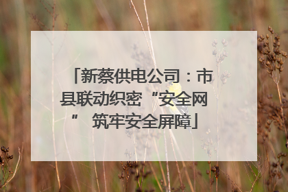 新蔡供电公司：市县联动织密“安全网” 筑牢安全屏障
