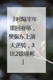 时隔半年重回赛场，樊振东上演大逆转，3比2徐瑛彬