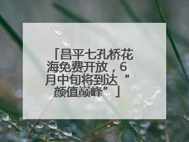 昌平七孔桥花海免费开放，6月中旬将到达“颜值巅峰”