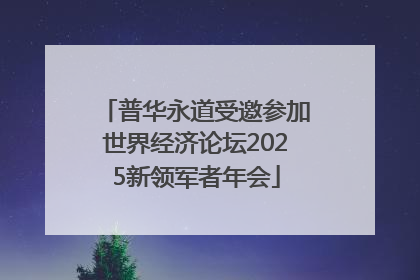 普华永道受邀参加世界经济论坛2025新领军者年会