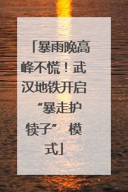暴雨晚高峰不慌！武汉地铁开启 “暴走护犊子” 模式