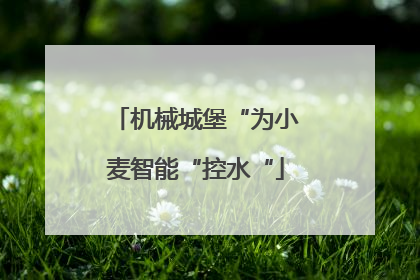 机械城堡“为小麦智能“控水“