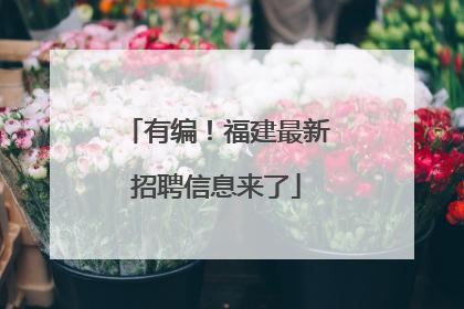有编！福建最新招聘信息来了