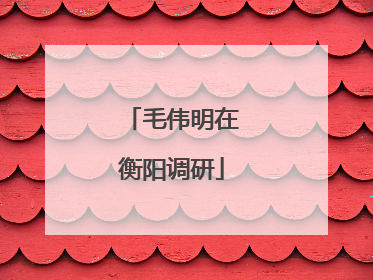 毛伟明在衡阳调研