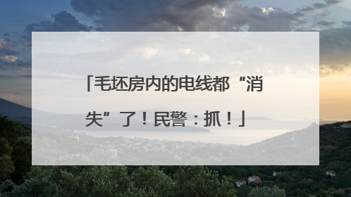 毛坯房内的电线都“消失”了！民警：抓！