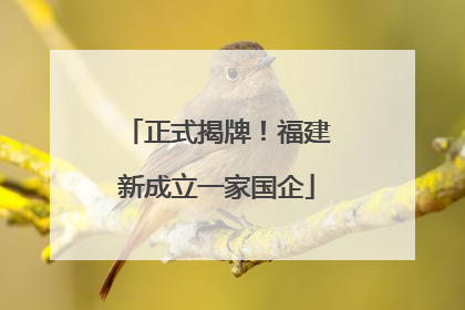 正式揭牌！福建新成立一家国企
