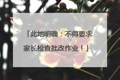 此地明确：不得要求家长检查批改作业！