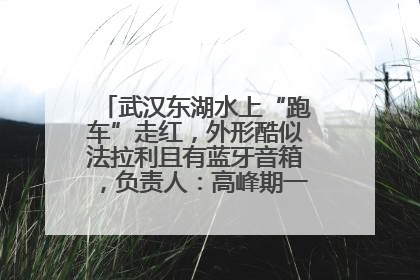 武汉东湖水上“跑车”走红，外形酷似法拉利且有蓝牙音箱，负责人：高峰期一两百人排队