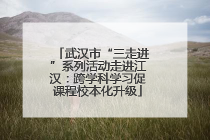 武汉市“三走进”系列活动走进江汉：跨学科学习促课程校本化升级