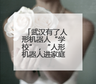 武汉有了人形机器人“学校”，“人形机器人进家庭，这是第一步”