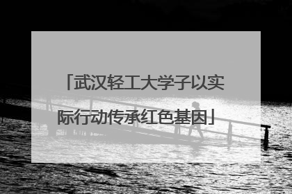 武汉轻工大学子以实际行动传承红色基因