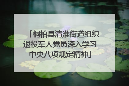 桐柏县清淮街道组织退役军人党员深入学习中央八项规定精神