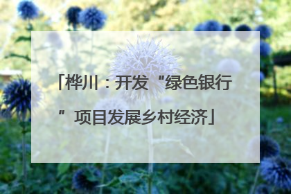 桦川：开发“绿色银行”项目发展乡村经济