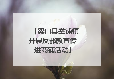 梁山县拳铺镇开展反邪教宣传进商铺活动