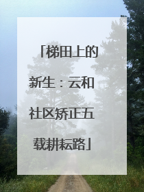 梯田上的新生：云和社区矫正五载耕耘路