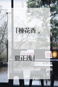 楝花香，夏正浅