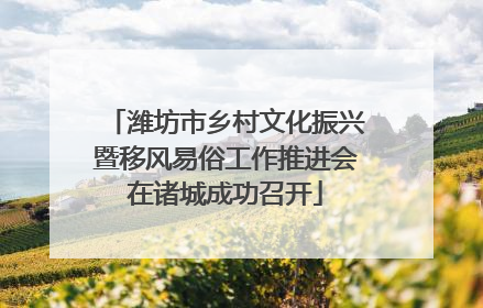 潍坊市乡村文化振兴暨移风易俗工作推进会在诸城成功召开