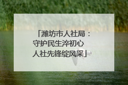 潍坊市人社局：守护民生淬初心 人社先锋绽风采