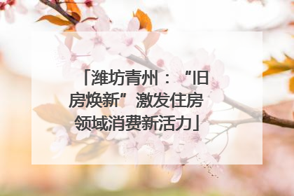 潍坊青州：“旧房焕新”激发住房领域消费新活力
